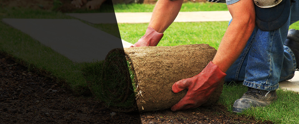 Beloit Landscapers